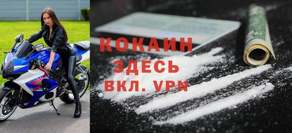 хмурый Ельня
