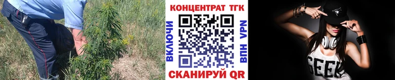 ТГК Wax  где найти наркотики  Терек 