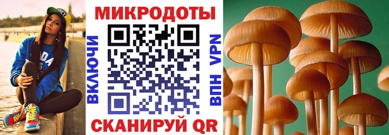 наркота  мега ТОР  Псилоцибиновые грибы прущие грибы  Терек 